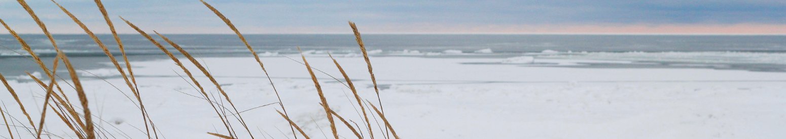 Beach in Denmark