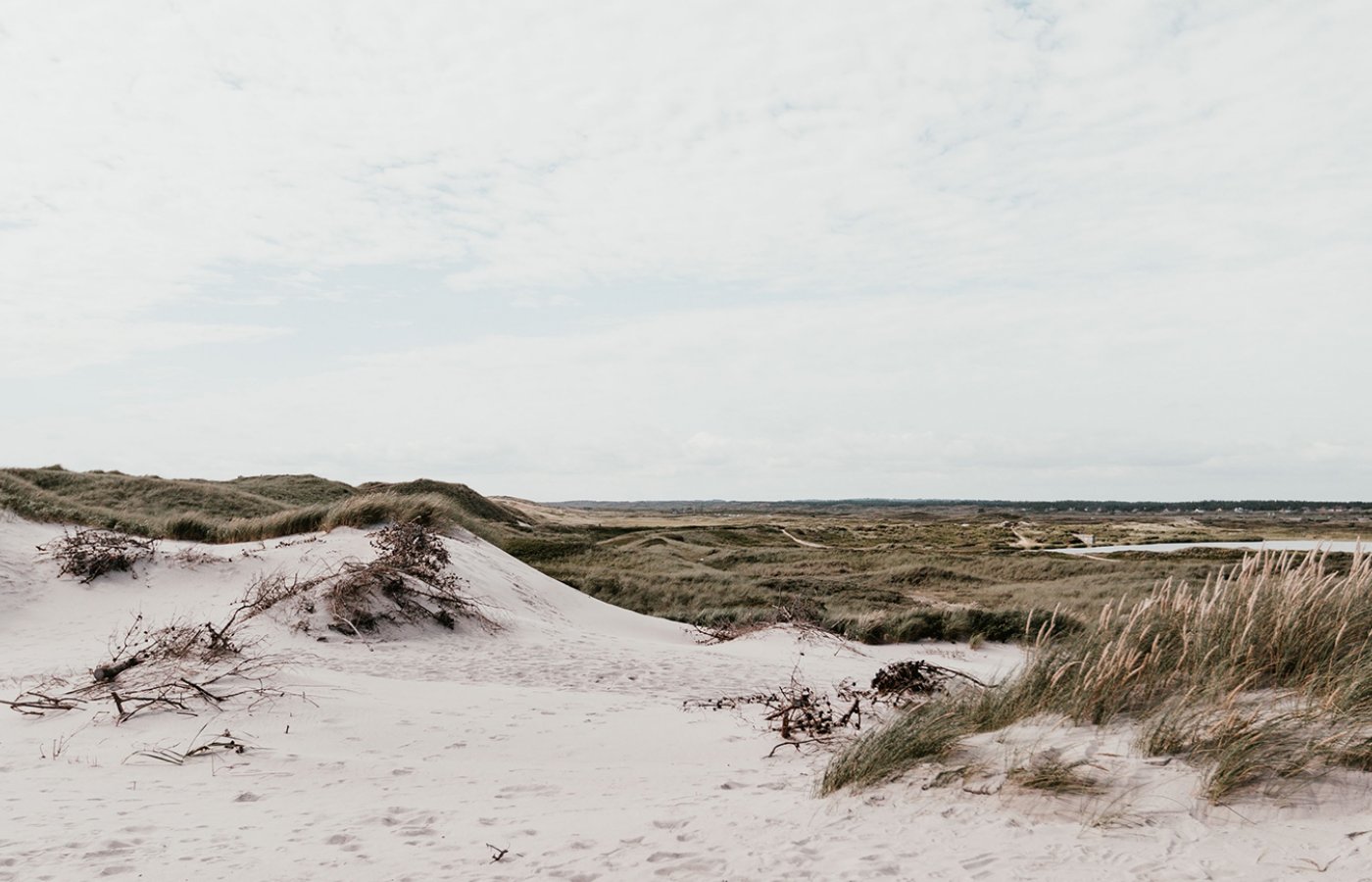 Beach in Denmark