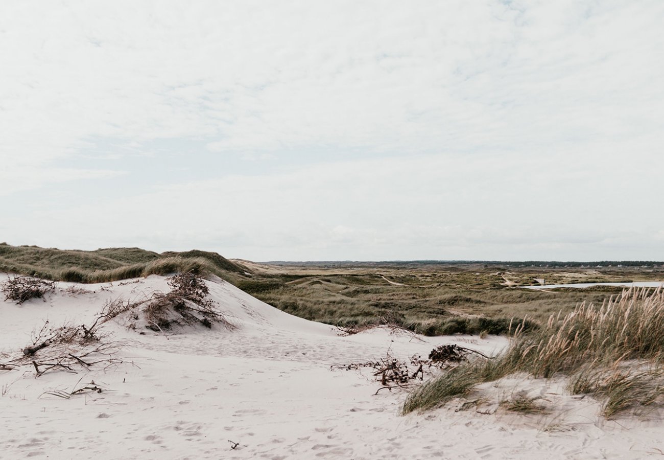 Danish beach